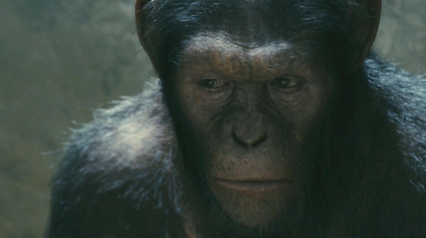 Pré-bande-annonce de Rise of the Planet of the Apes